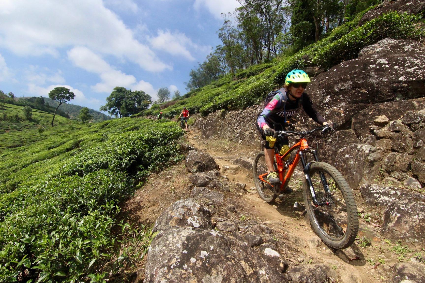 We provide mountain bike hire in Kerala